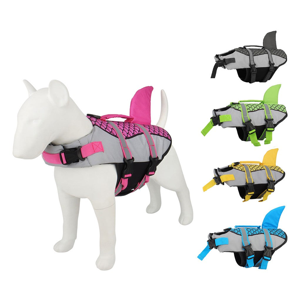The Ultimate Swim Companion for Your Pup